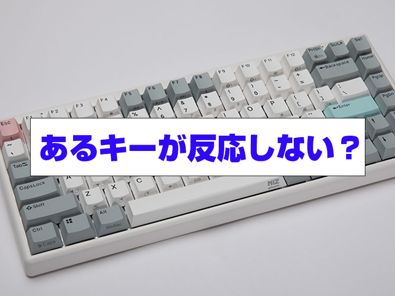 Amazon | NiZ 【X99-3M】パソコン用キーボード静電容量無接点
