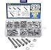 290pcs M3 Phillips Pan Head Screws Bolts Nuts Lock Flat Washers Assortment Kit (M3,304 Stainless Steel)
