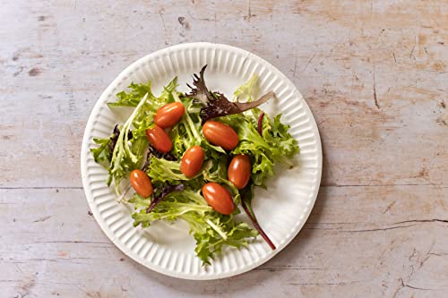GoCoPack Paper Plates: Pack of 100-9" (23cm) White Paper Plates - Perfect for Parties Or Barbecues (9" (23cm)) - Image 4