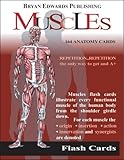 By Flash Anatomy - Flash Anatomy Flash Cards: The Muscles (Crds)