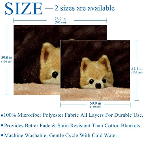 Couverture en peluche contre le froid avec microfibre chaude pour chien et chat - 4