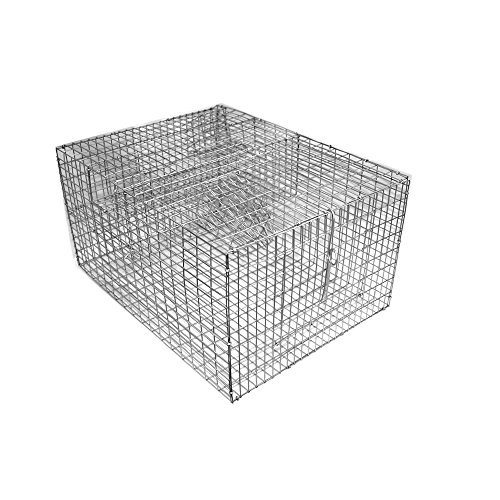 Bird B Gone BMP-SP2C Sparrow Trap with Two Chambers, 8-Inch by 12-Inch