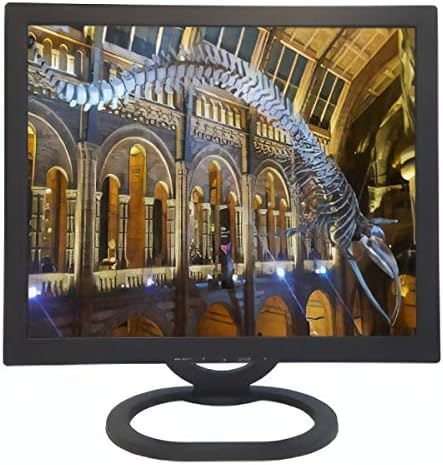 ViewEra V191BN2 Active Matrix TFT LCD Monitor, 19" Screen Size, SXGA 1280x1024 Resolution, 16.7 Million Colors, 15 Pin D-Sub VGA Input, 3W Built-in Speakers