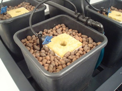 Argilla Espansa Olandese - Atami Hydro Rokz 45L