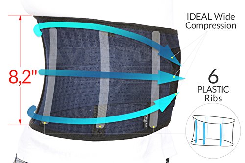 Aveston Kidney Belt Back Support Brace For Motorcycle Riding Motocross For Men And Women X-Large Size 41 – 48 Inch Around Belly #TOP6