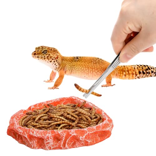 50% Off! Frcctre 4-Pack Reptile Food Dish & Tongs Set - Image 4