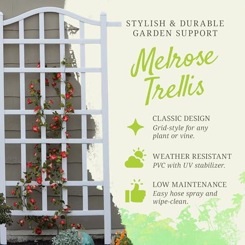 Dura-Trel-Melrose-35-x-75-Inch-Indoor-Outdoor-Garden-Trellis-Plant-Support-for-Vines-and-Climbing-Plants-Flowers-and-Vegetables-White Dura Trel Melrose 35 x 75 Inch Indoor Outdoor Garden Trellis Plant Support for Vines and Climbing Plants Flowers and Vegetables White