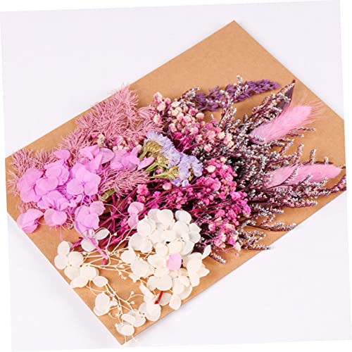 Unomor kit flores secas para manualidades decorativas miniatura 6