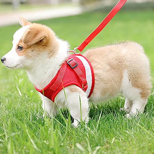 Image of Feimax Dog Harness and Leash Set, No-Pull Pet Vest Harness Soft Breathable Mesh Padded Chest Strap for Puppy and Cat, Reflective Adjustable Easy Control Harness for Small and Medium Dogs (S, Red)