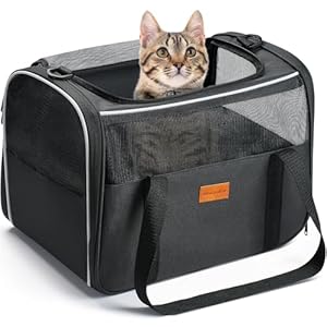 Morpilot Cat Carrier Soft – Portable Pet Carrier for Small or Medium Cats, Dogs and Puppy up to 14lbs, Airline Approved Dog Carrier with Safety Buckle – 16.0 x 10.4 x 11.2 Inch (Dark Gray)