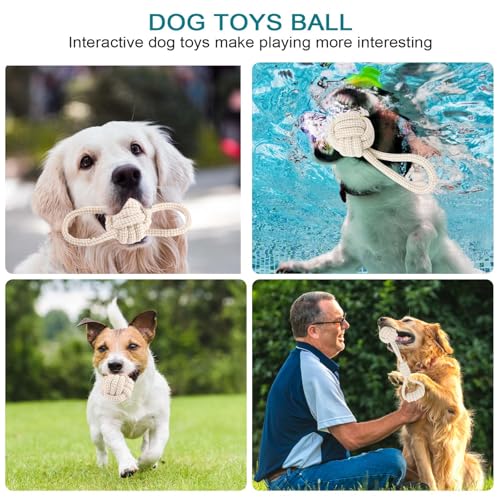6 Stück Hundespielzeug Welpen, Welpenspielzeug Set Kauspielzeug Hund aus Baumwolle Spielzeug für Hunde, Hundespielzeug Unzerstörbar, Interaktives Welpen Spielzeug Robust für kleine & mittelgroße Hunde