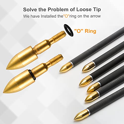 Reawow Compound Bow And Arrow Kit For Adult And Youth Hunting Bow Archery Set With 18 Arrows 20-50 Lbs, Fully Adju #TOP5