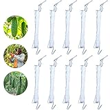 Einfach zu bedienen: Bringen Sie den Haken in einer geeigneten Position über dem Gemüse an, legen Sie das hängende Seil senkrecht nach unten, befestigen Sie das untere Ende irgendwo auf dem Boden oder binden Sie es an die Rebe, und die Rebe wächst um das Seil herum.