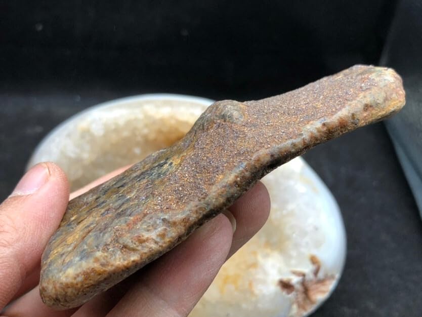 Jurassic Ancient Giant Beast Armor Fossils