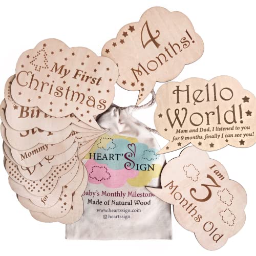 24 Designs Meilensteinkarten für Babys - Hallo Welt-Neugeborenen-Schild | Wöchentliche und besondere Meilensteine ​​aus Holz | Monatliche Meilenstein-Holzscheiben für Babys | Baby-Geschenkset Cover