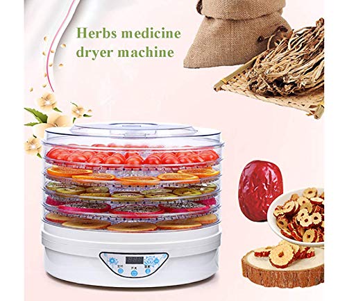 Elektrischer Dörrapparat,Intelligentes Timing 5 Tablett Obsttrockner, Angepasst 35-70 ° C,1-19 Stunden Zeit, Geeignet… – Bild 3
