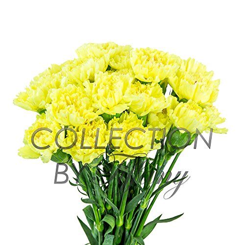 Best Flower Arrangement For Funeral