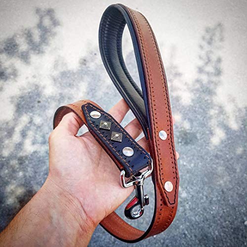 Bestia Balteus Guinzaglio Marrone con Borchie