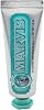 Marvis Anise Mint Toothpaste 25 ml