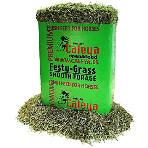 Open&Feed Festu-Grass 13 Kg + Viruta Extra (Palet 12 + 6 Unidades)