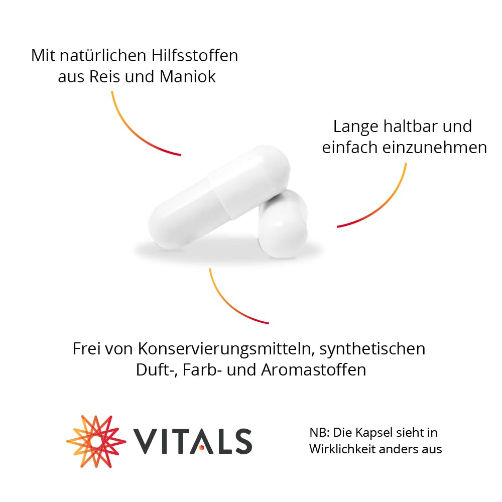 Vitals - Silicium-MP 100 Kapseln mit Mesoporosil, optimal resorbierbarem Silicium. Mit natürlichen Hilfstoffen aus Reis und Maniok. Einzigartige Form von Silizium.
