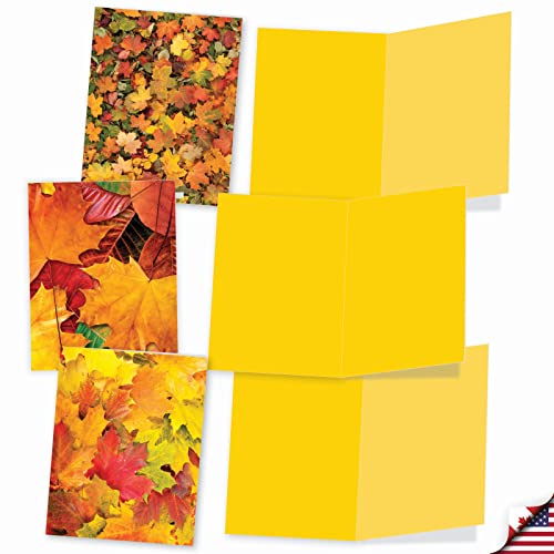 Image of The Best Card Company - 10 Beautiful Note Cards Blank (4 x 5.12 Inch) - Fall and Autumn Season, Boxed Notecard Assortment - Leaf a Message M2009