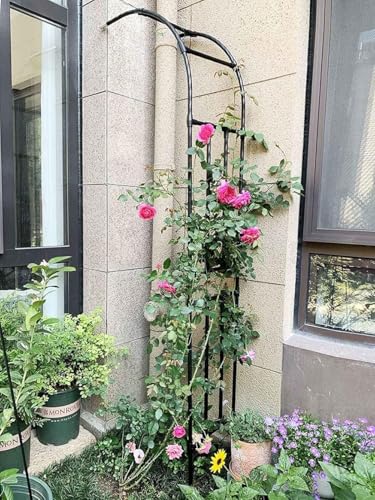 Arche de décoration de jardin en métal noir pour extérieur