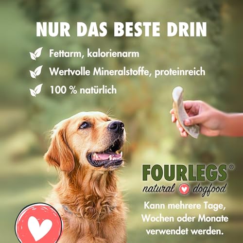 FOURLEGS® natürlicher Kausnack für Hunde aus 100% Hirschgeweih - Mineralstoffe, Kauspielzeug, Kaustange, Wildgeschmack, Geweih, Knochen, Hirsch, Kauartikel - Größe M ganz