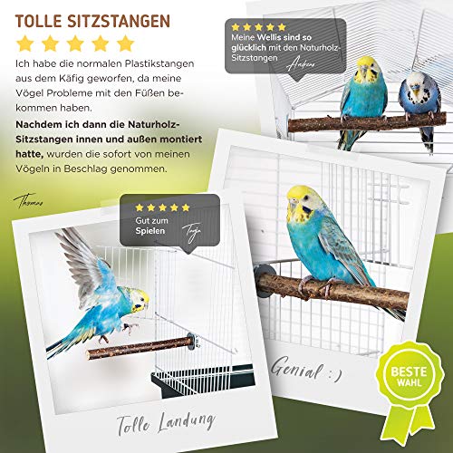 5 prachtige natuurlijke zitstokken voor vogels zoals grasparkiet, valkparkiet, kanarie, dwergpapegaaien, natuurlijke… - Afbeelding 7