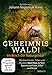 Geheimnis Wald! - Im Reich der Naturgeister (DVD)