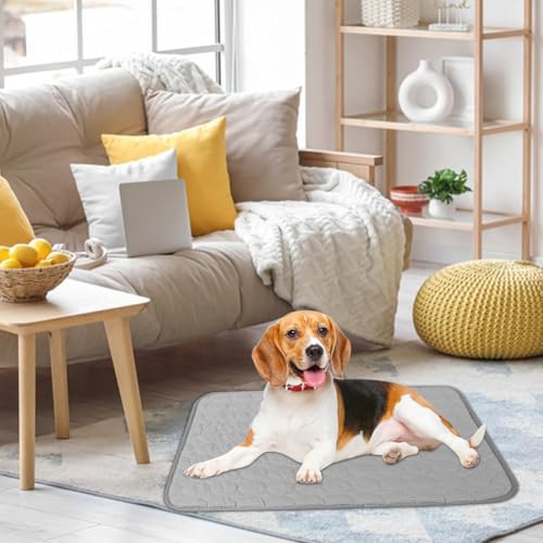 LOMUG Hundekäfigmatratze, Hundekissen Waschbar Hundebett Weiche Zwingerunterlagen Haustierbettdecke Haustier Sofakissen Hundekäfigmatte Hundedecke Hundebettmatten für Hunde & Katzen Größe XL 100x70 cm