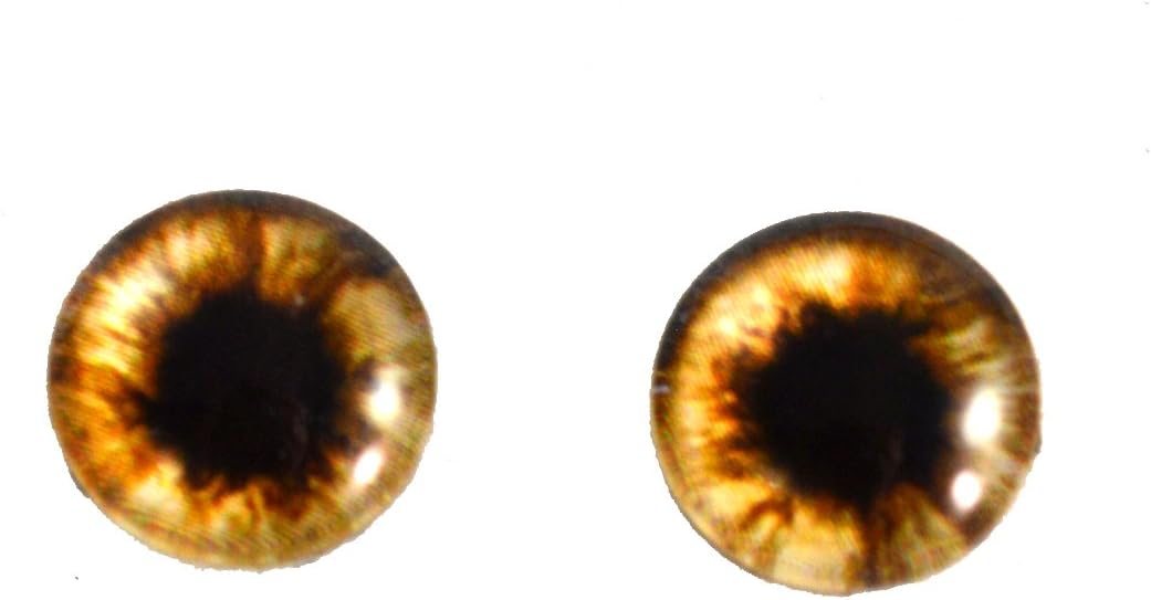 12mm Brown Teddy Bear Glass Eyes Doll Irises for Art Polymer Clay Taxidermy Sculptures or Jewelry Making Set of 2