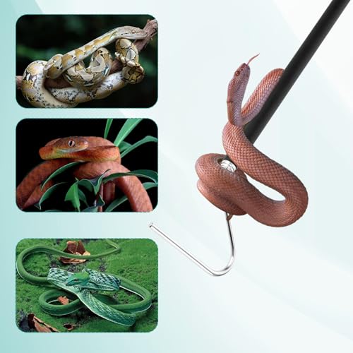 Image of 40 Inch Snake Hook, Large Retractable Snake Grappling Hook, Stainless Steel Snake Pick-Up Tool, Extensible Pet Snake Accessories for Ball Python