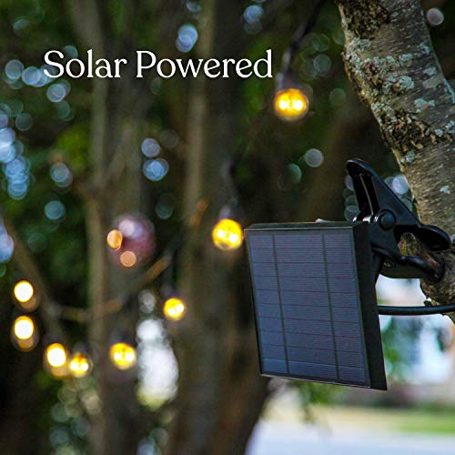 Brightech Ambience Pro - Waterproof, Solar Powered Outdoor String Lights - 48 Ft Vintage Edison Bulbs Create Bistro Ambience On Your Patio - Commercial Grade, Shatterproof - 1W LED, Warm White Light