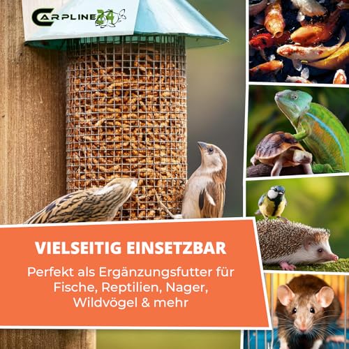 Bachflohkrebse Gammarus 2000ml - Getrocknete Insekten als Futter für Schildkröten, Axolotl, Vögel & Nager, Fischfutter für Aquarium & Teich – Bild 4