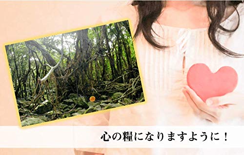 秋元隆良氏 奇跡の写真『ガジュマルの精霊』 Amazon.co.jp: 秋元 隆良『奇跡の写真 ～ガジュマルの精霊（キジムナー