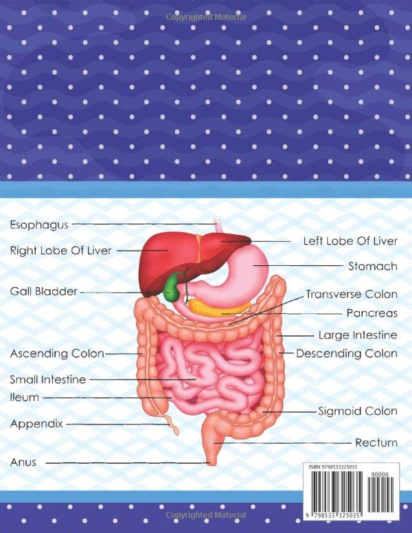 Digestive System Anatomy Coloring Book: Fun & Easy Human Digestive System Anatomy Coloring Book. Learn Human Digestive System Anatomy With Fun & Easy. ... Anatomy Book Of Human Digestive System. - Image 2
