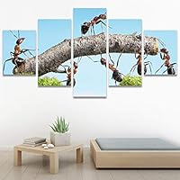 SIGNWIN 5 Panel Canvas Wall Art Modern Art Ants Butterfly Colorful Insects Minimalist Multicolor Photography for Home Decorations Ready to Hang - 60
