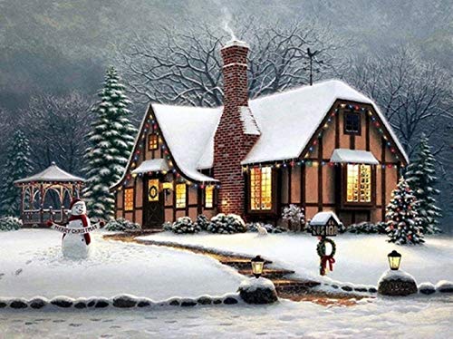 MiDenso Paint by Numbers DIY Easy Funny Painting Kit for Kids Adults Beginner 16" by 20" Colorful Pattern with Gift Wrap Stocking Stuffer Christmas Birthday Gifts for Him Girls,Snow House