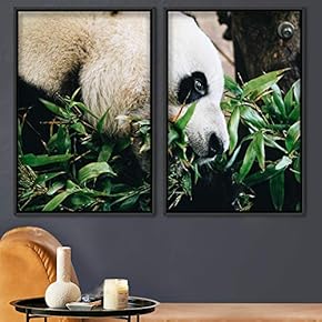 signwin 2 Piece Framed Canvas Wall Art Panda...