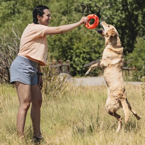 Image of Chuckit! Air Fetch Wheel Dog Toy, Orange, 1 Count (Pack of 12)