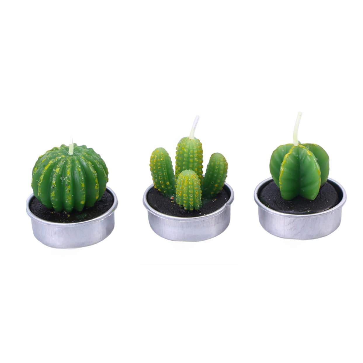 GARVALON Creative Plant Candles Handmade Realistic Tealight Candles for Spa Birthday Parties Home Decoration Cactus Smokeless Reusable Random Style