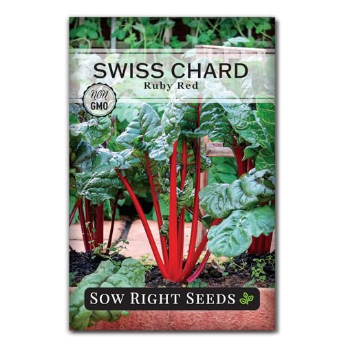 Sow Right Seeds - Ruby Red Swiss Chard Seeds for Planting - Non-GMO Heirloom Variety with Vibrant Stalks - Ideal for Home Gardens & Greenhouses - Easy to Grow Chard for Abundant Harvest (1)