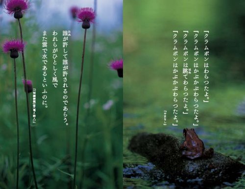 宮沢賢治の名言10選 言葉の背景や意図も解説 レキシル Rekisiru