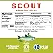 SCOUT Rainbow Trout with Dill | Responsibly Sourced Seafood Tins | Rainbow Trout in BPA-Free, Recyclable Cans (Pack of 1 x 90g tins)