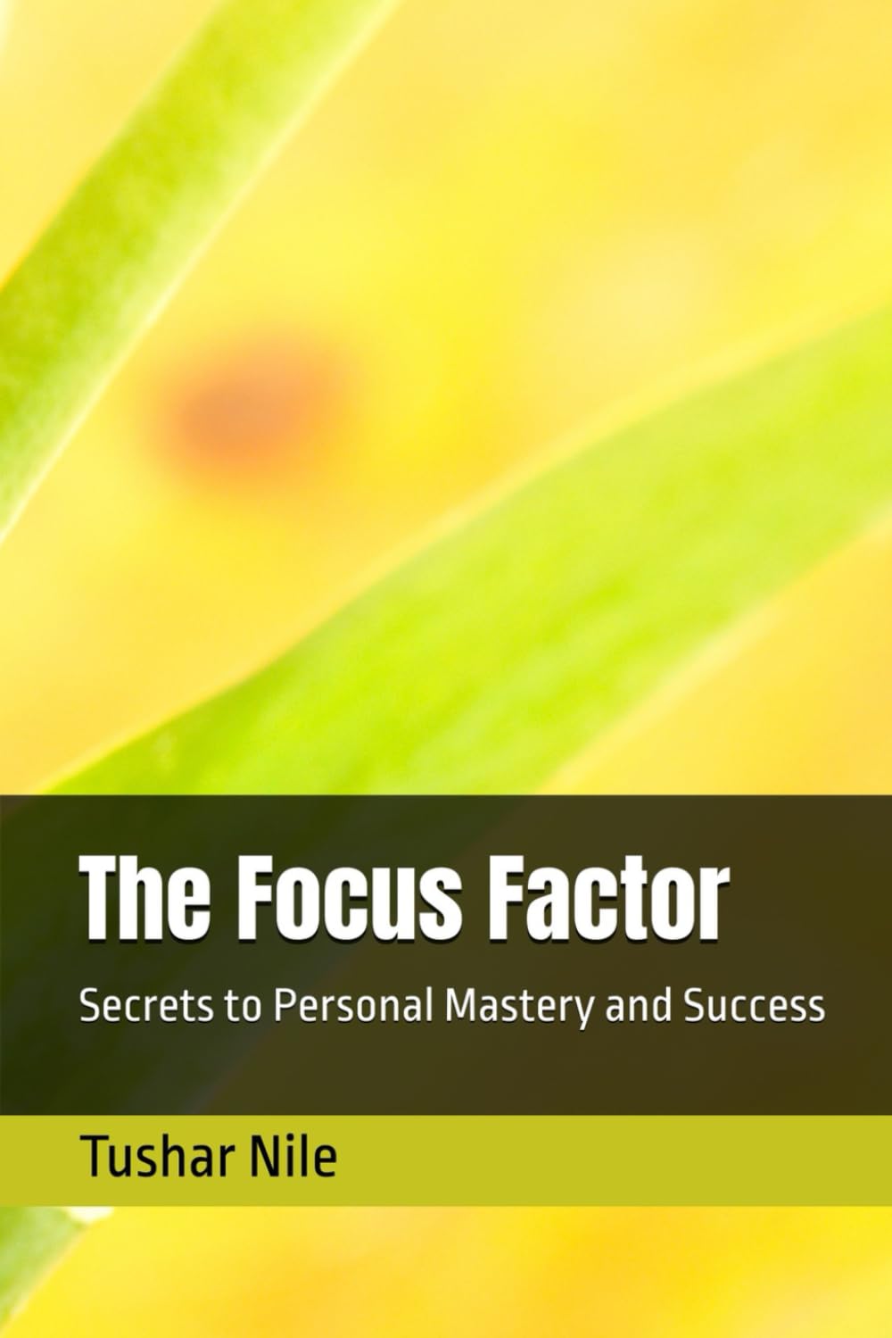 The Focus Factor: Secrets to Personal Mastery and Success