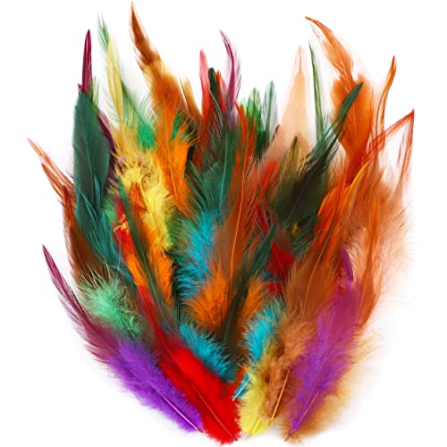 HaiMay 200 Pieces Colorful Feathers for Craft Wedding Home Party Decorations, 3-6 Inches Saddle Hackle Rooster Feathers Craft Feathers