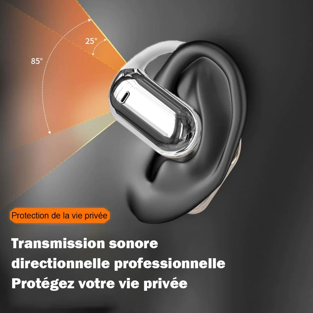 Ecouteur Traducteur Instantané sans Fil IPX5 Étanche Bluetooth Réducteur de Bruit pour Voyage