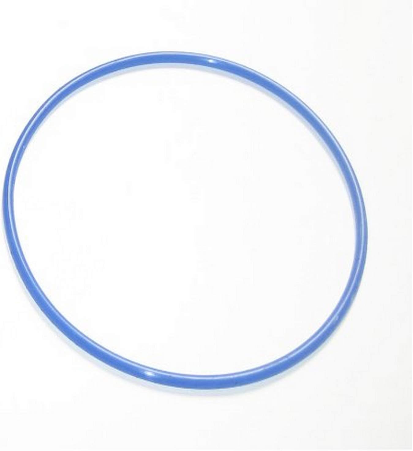 Swimline Chlorine Feeder Lid Gasket