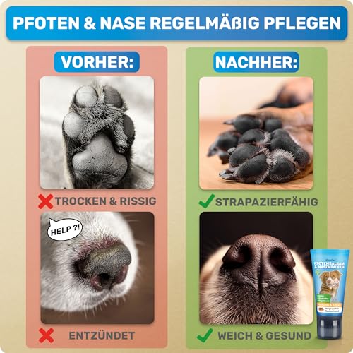 BluePet Pfotenbalsam Hund 50ml – Pfotenpflege Hund gegen trockene & rissige Pfoten und Nase – Natürlicher Schutz & Pflegebalsam für Hunde